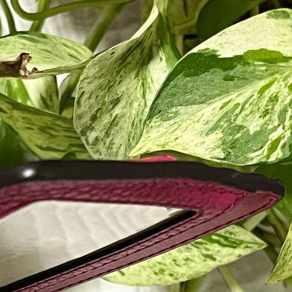 NWT Michael Kors Card Holder - Picture 9 of 11